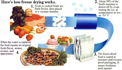 Mountain House Entree Pouch
