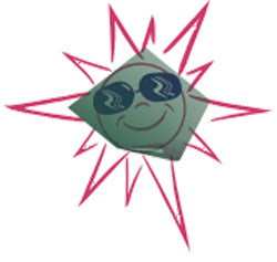 Sunguard Sunshield